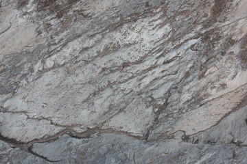 Grey sedimentary rock texture closeup