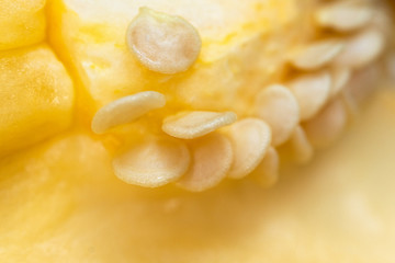 Macro close-up of the inner walls and seeds of yellow paprika