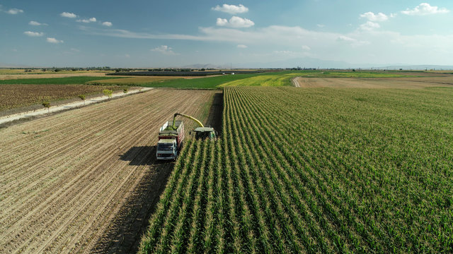 storage with corn harvesting machine and truck