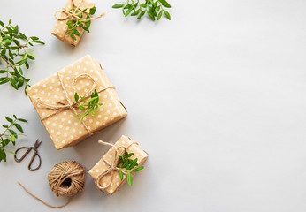 Craft boxes and green branches