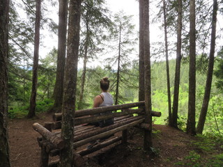 Forest Bench Lookout