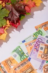 Autumn prices fall concept. Background from euros and colored maple leaves