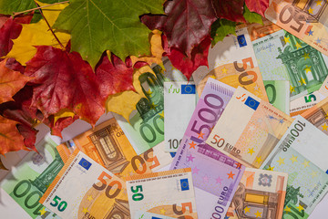Autumn prices fall concept. Background from euros and colored maple leaves