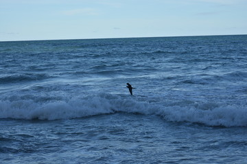 o mar da praia de boa viagem, em Recife