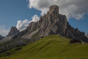 landscape forest in trentino with dolomiti mountain