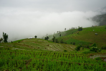 Beautiful landscape view of rice terraces, rural house and mountain