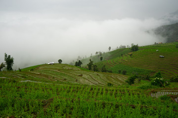 Fototapeta na wymiar Beautiful landscape view of rice terraces, rural house and mountain