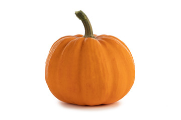 Pumpkin isolated on white