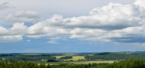 Picturesque wheat fields among the forests. Panoramic view.