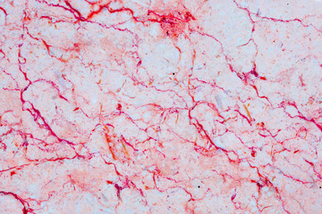 Pink and red patterned of white marble pattern (Gala Classic) texture for product design.