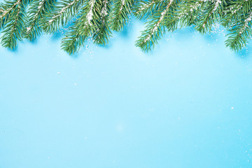 Christmas Fir tree branch on blue background.