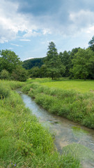 Green Landscape With Brook