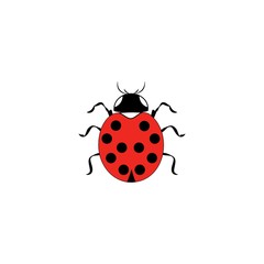 Ladybird isolated. Illustration ladybug. Cute colorful sign red insect symbol spring, summer, garden. Template for t shirt, apparel, card, poster, etc. Design element Vector illustration.