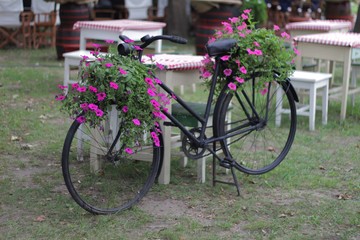 Fototapeta na wymiar Black bicycle with pink flowers 02