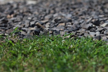 Grass and gravel 02