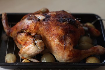 Grilled chicken 01