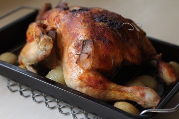 Grilled chicken 03