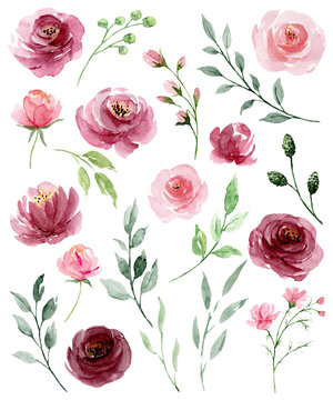 Set watercolor flowers painting, floral vintage illustrations with pink roses and leaves. Decoration for poster, greeting card, birthday, wedding design. Isolated on white background.