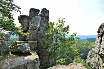 Fototapeta na wymiar landscape nature tree stone rock hill cliff