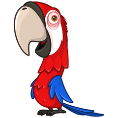 Funny red parrot with a large beak