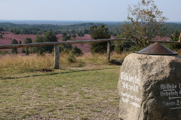 Aussicht vom Wilseder Berg in der Lüneburger Heide während der Heideblüte im August
