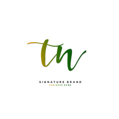 T N TN Initial letter handwriting and  signature logo concept design.