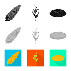 Vector design of cornfield and vegetable sign. Set of cornfield and vegetarian stock symbol for web.