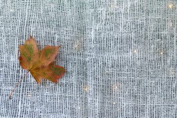 maple leaf on a white fabric with backlight garland. autumn background with lights