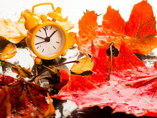 Vintage alarm clock with maple leaves on white background with bokeh