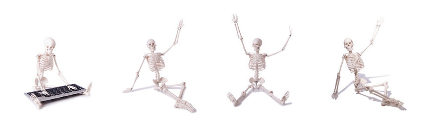 Funny Skeleton working on computer