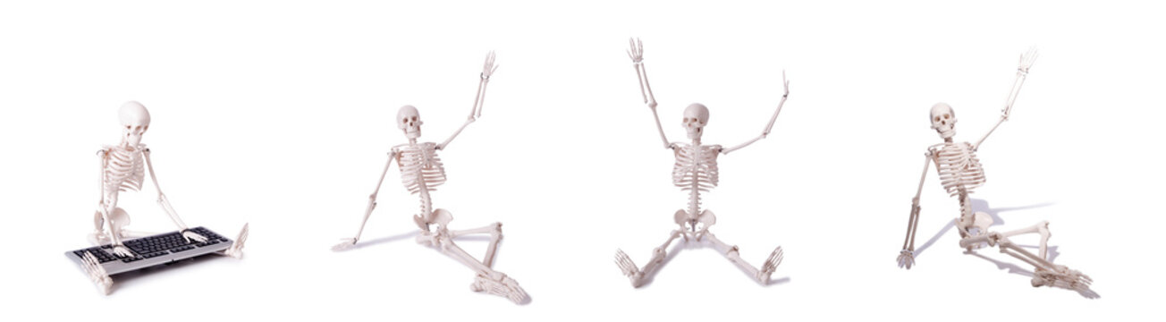 Funny Skeleton working on computer