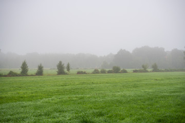 Above the fields, the fog drifts through the land,  creating a mood of merriment