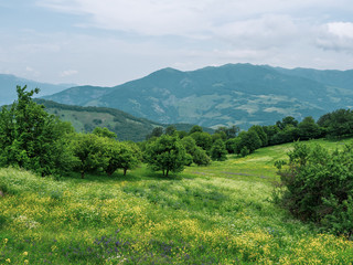 Beautiful summer landscape in Dilijan national park, Armenia