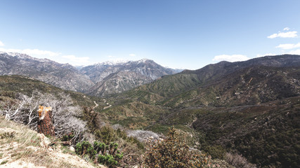 Fototapeta premium Panorama View over Kings Canyon National Park