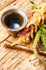 Amaranth and herbal medicine