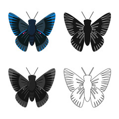 Fototapeta na wymiar Vector illustration of butterfly and blue symbol. Collection of butterfly and species stock vector illustration.