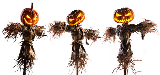 halloween pumpkin scarecrow isolated on white background - obrazy, fototapety, plakaty