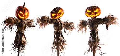halloween pumpkin scarecrow isolated on white background
