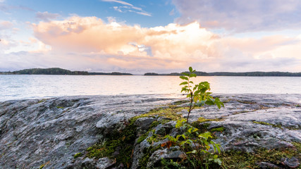 Morning landscape view to the sea from Ruissalo National Park, Turku Finland. Shot September 2019.