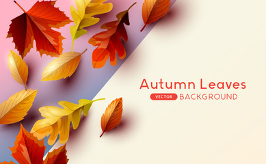 Autumn seasonal background frame with falling autumn leaves and room for text. Vector illustration