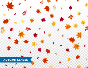 Autumn falling leaves. Nature background with red, orange, yellow foliage. Flying leaf. Season sale. Vector illustration.