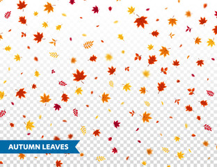 Autumn falling leaves. Nature background with red, orange, yellow foliage. Flying leaf. Season sale. Vector illustration.