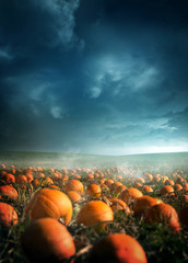 A spooky halloween pumpkin field with a moody sky. Photo composite.