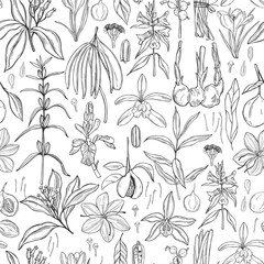 Fototapeta premium Spices for dessert and baking. Vector seamless pattern. Hand drawn sketch illustration