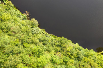 Obraz premium lake_forest