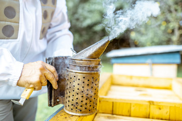 Beekeeper smoking honey bees with bee smoker on the apiary