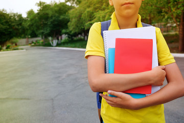 Books and notebooks in the hands of a child