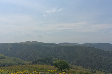 Gumbashi pass view in the russian caucasus, green meadow landscape at an altitude of above 2000 m