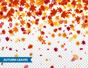 Autumn falling leaves. Nature background with red, orange, yellow foliage. Flying leaf. Season sale. Vector illustration.