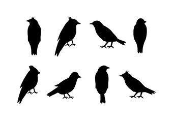 Set of silhouettes of birds on white background